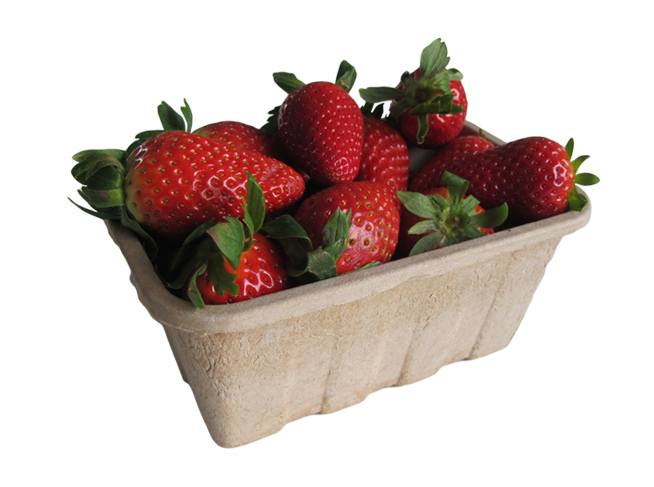 packaging sostenibile per frutta