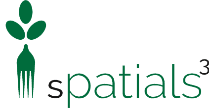 spatials logo